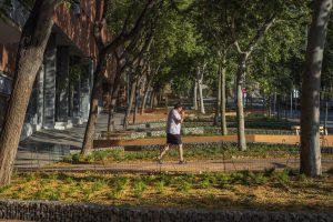 Nou aspecte de la Rambla de França a Montigalà (Badalona)