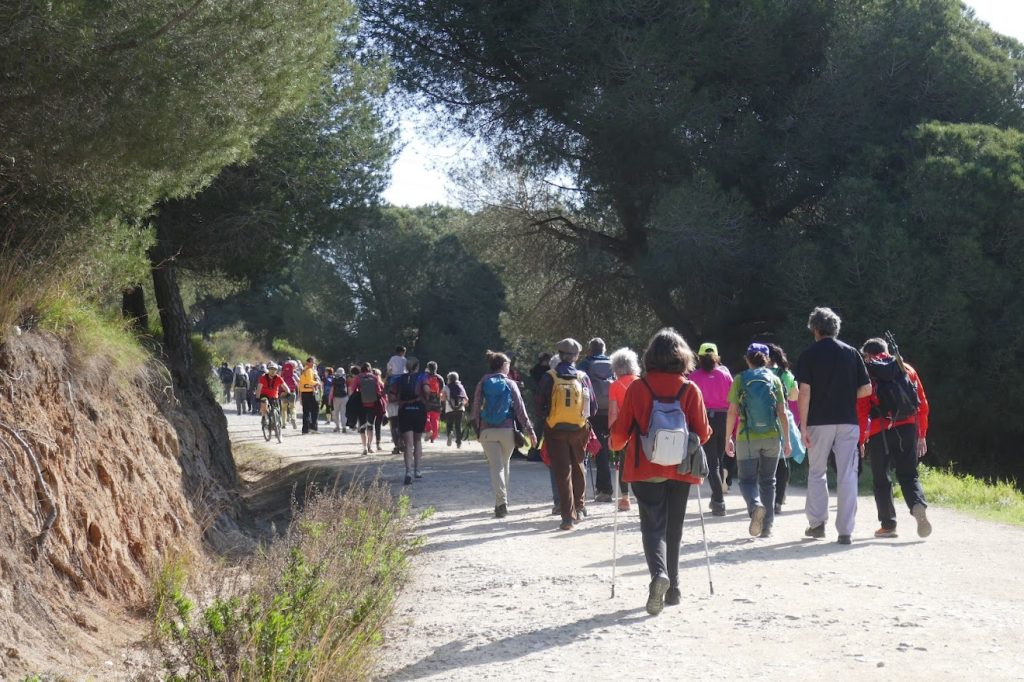 Entitats excursionistes i veïnals han reivindicat els camins rurals en marxes a peu. Foto: Pablo Diaz-Flores