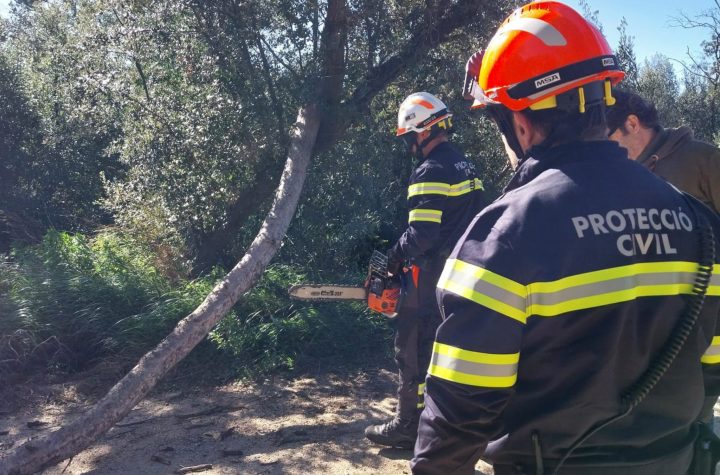Actuació de protecció civil davant les fortes ventades foto: Gencat