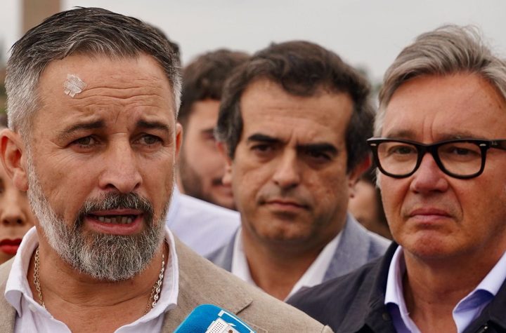 Santiago Abascal, líder de Vox foto: RTVE